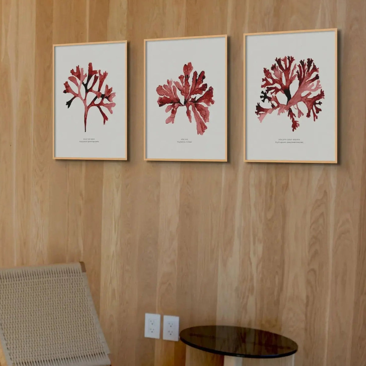 Watercolour Red Seaweed Print Wall Art (Sea Oak) - Unframed