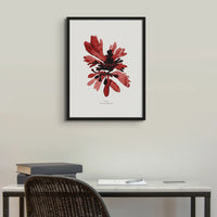 Painted Watercolour Seaweed Print Wall Art in red (Dulse) - Unframed