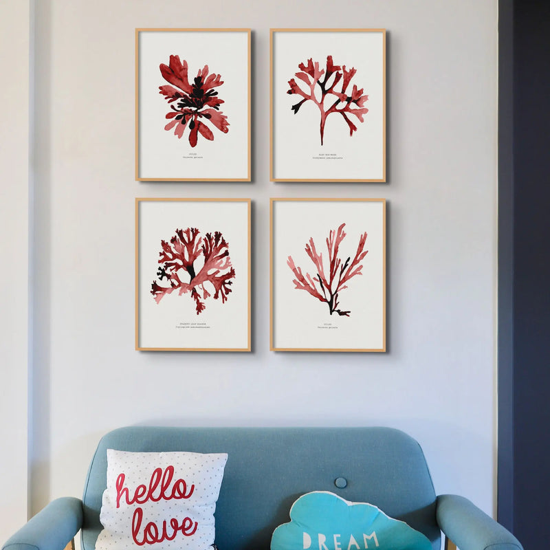 Painted Watercolour Seaweed Print Wall Art in red (Dulse) - Unframed