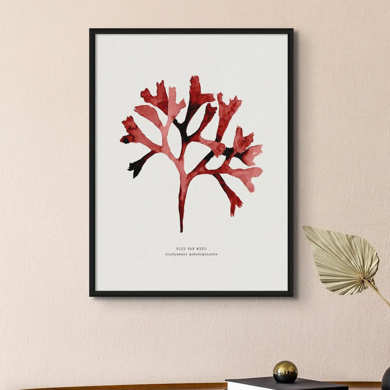 Watercolour Seaweed Print Wall Art (Rosy Fan Weed) - Unframed Red Seaweed Print