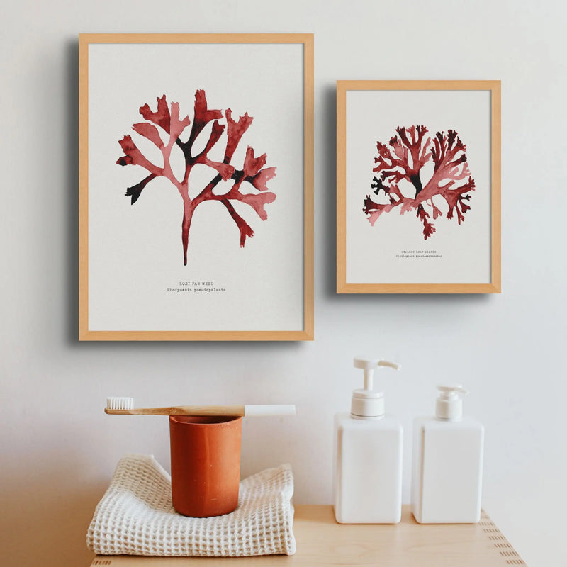 Watercolour Seaweed Print Wall Art (Rosy Fan Weed) - Unframed Red Seaweed Print