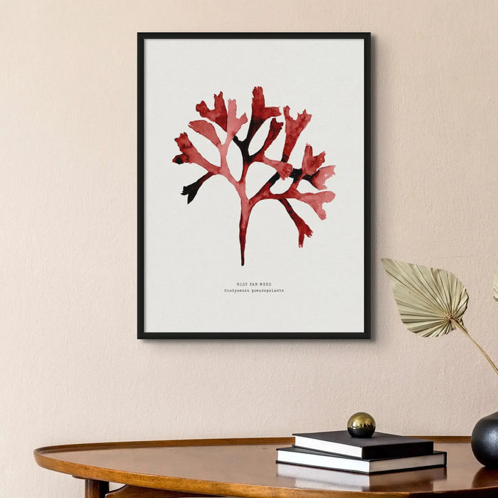 Watercolour Seaweed Print Wall Art (Rosy Fan Weed) - Unframed Red Seaweed Print