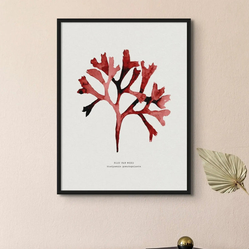 Watercolour Seaweed Print Wall Art (Rosy Fan Weed) - Unframed Red Seaweed Print