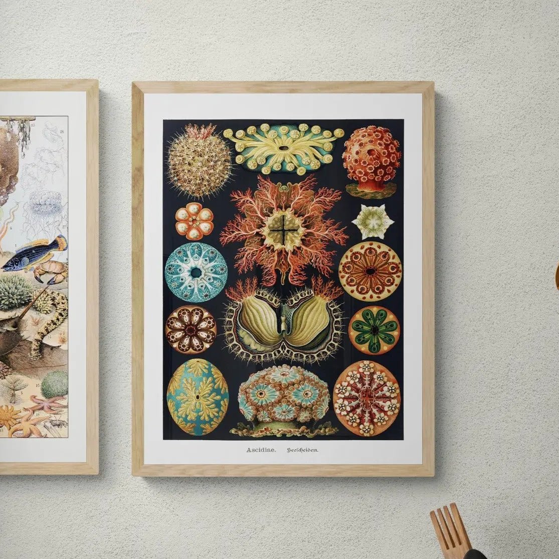 Sea Creatures (Black) - Framed Print Wall Art 45.00 Beach House Art