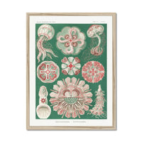 Sea Creatures (Green) - Framed Print Wall Art 45.00 Beach House Art