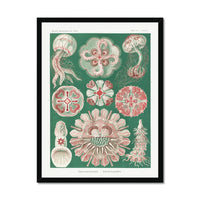 Sea Creatures (Green) - Framed Print Wall Art 45.00 Beach House Art