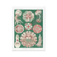 Sea Creatures (Green) - Unframed Print Wall Art 18.00 Beach House Art