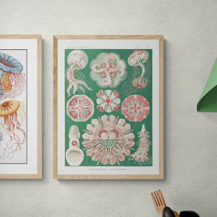 Sea Creatures (Green) - Unframed Print Wall Art 18.00 Beach House Art