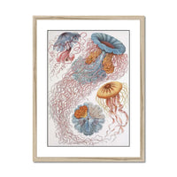 Sea Creatures (White) - Framed Print Wall Art 45.00 Beach House Art