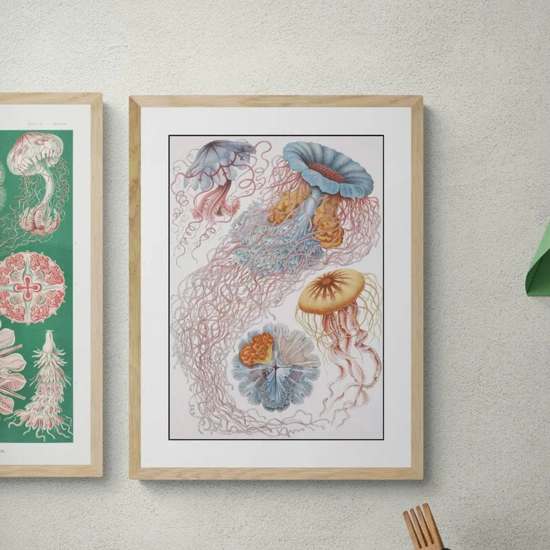 Sea Creatures (White) - Framed Print Wall Art 45.00 Beach House Art