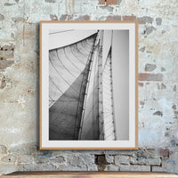 Skyward Sails (Black & White Photography) - Framed - Beach House Art