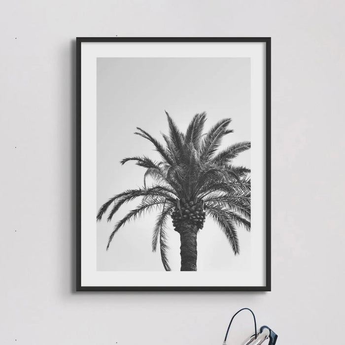 black & white palm tree wall art - photograph of a palm tree against a grey sky above a bicycle leaning against the wall - beach house art