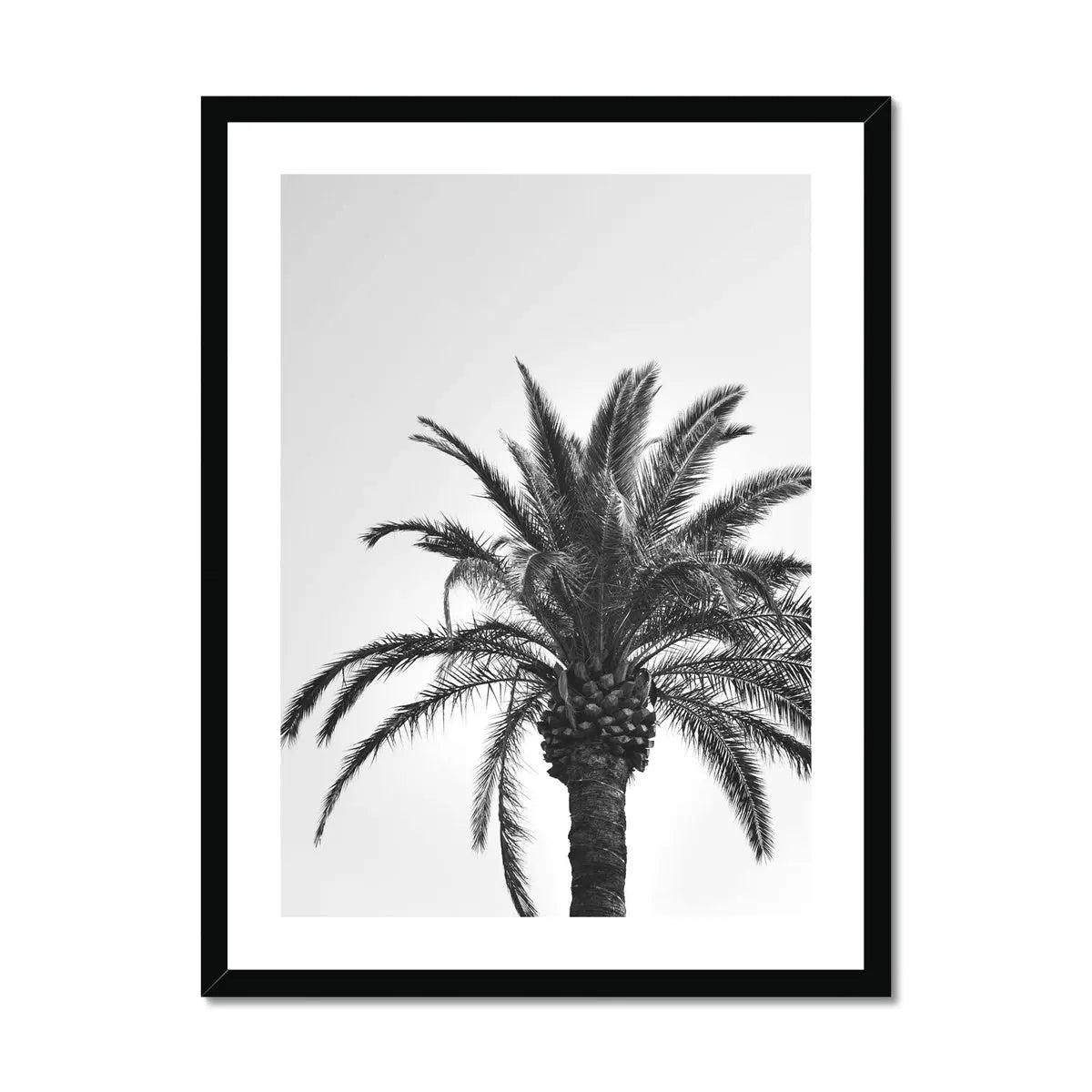 black & white photograph of a palm tree against a grey sky in a black frame - beach house art