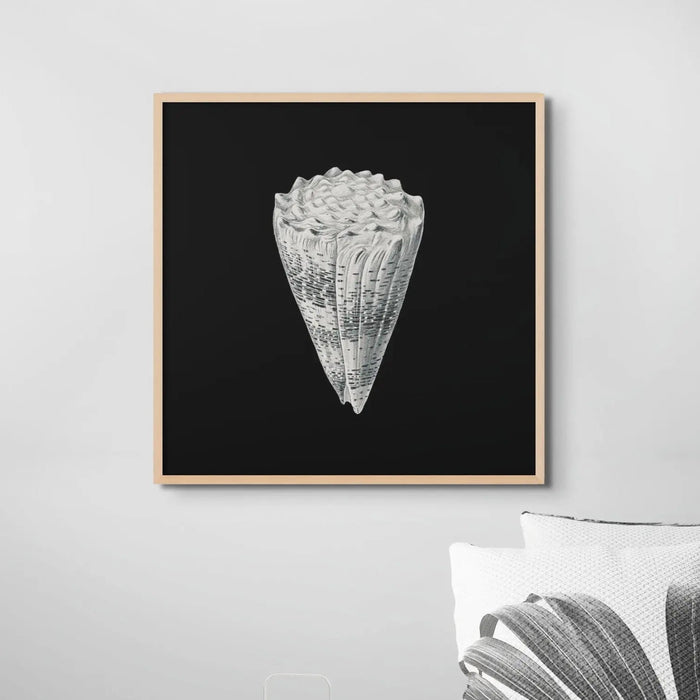 Vintage Cone Shell Print | Black & White Art Print | Shell Art Print - Unframed Wall Art