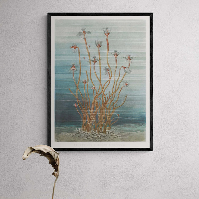 Vintage Marine Botanical - Unframed Print Wall Art 18.00 Beach House Art