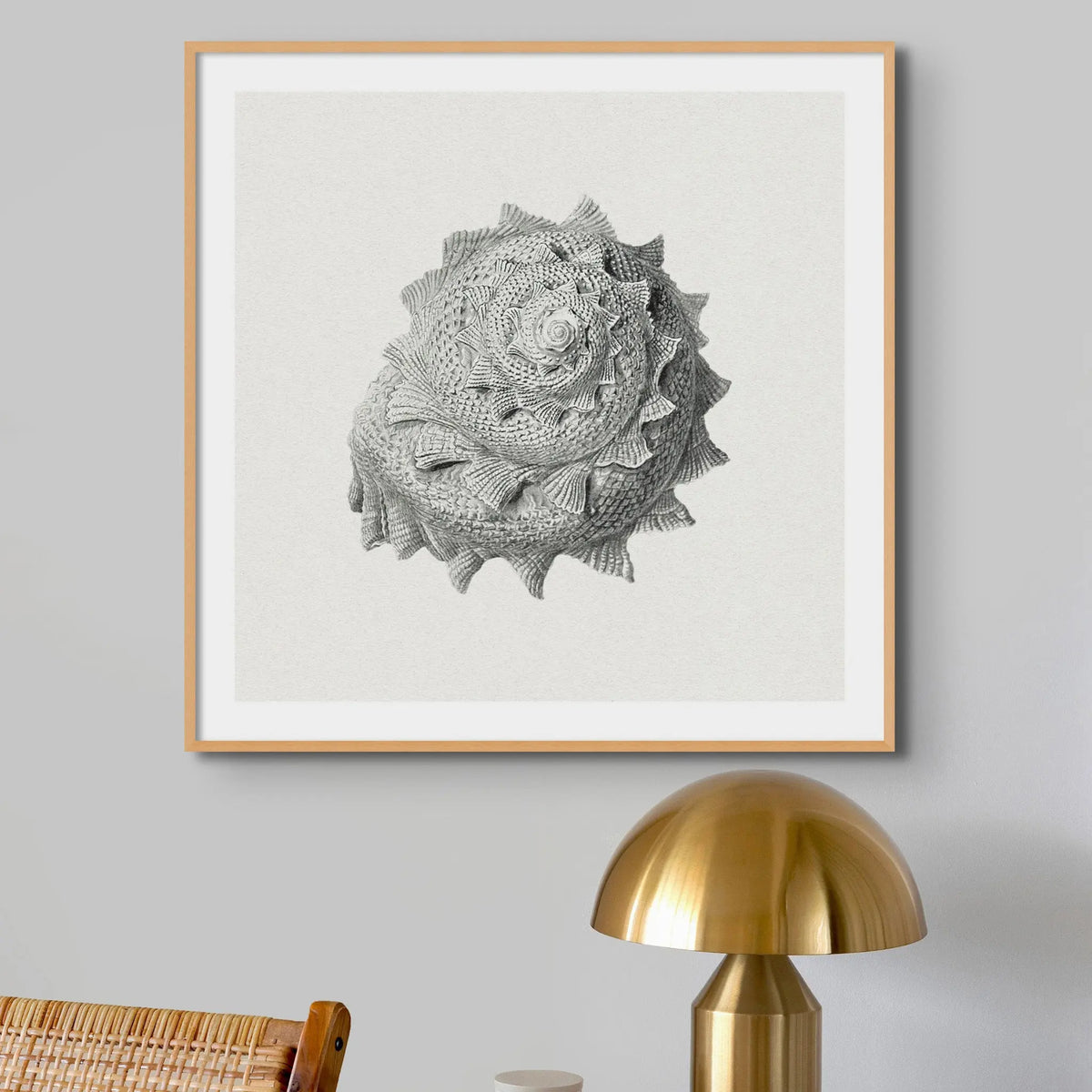 Vintage Star Shell Art Print | Shell Wall Art - Unframed Print