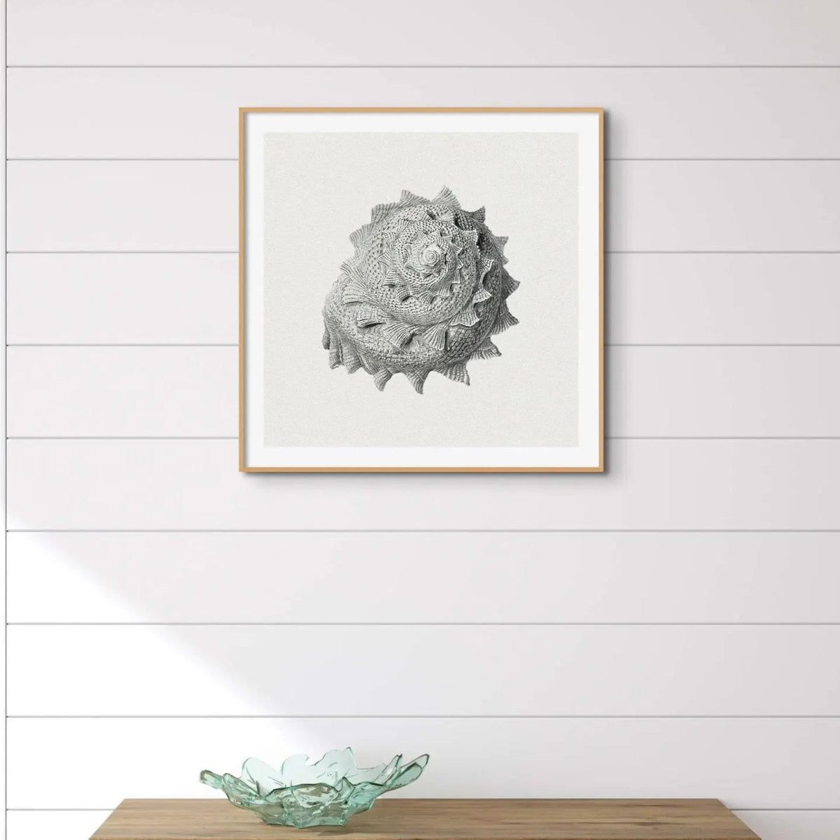 Vintage Star Shell Art Print | Shell Wall Art - Unframed Print