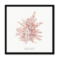 Square Seaweed Print Wall Art | Fern Weed No 1 - Framed