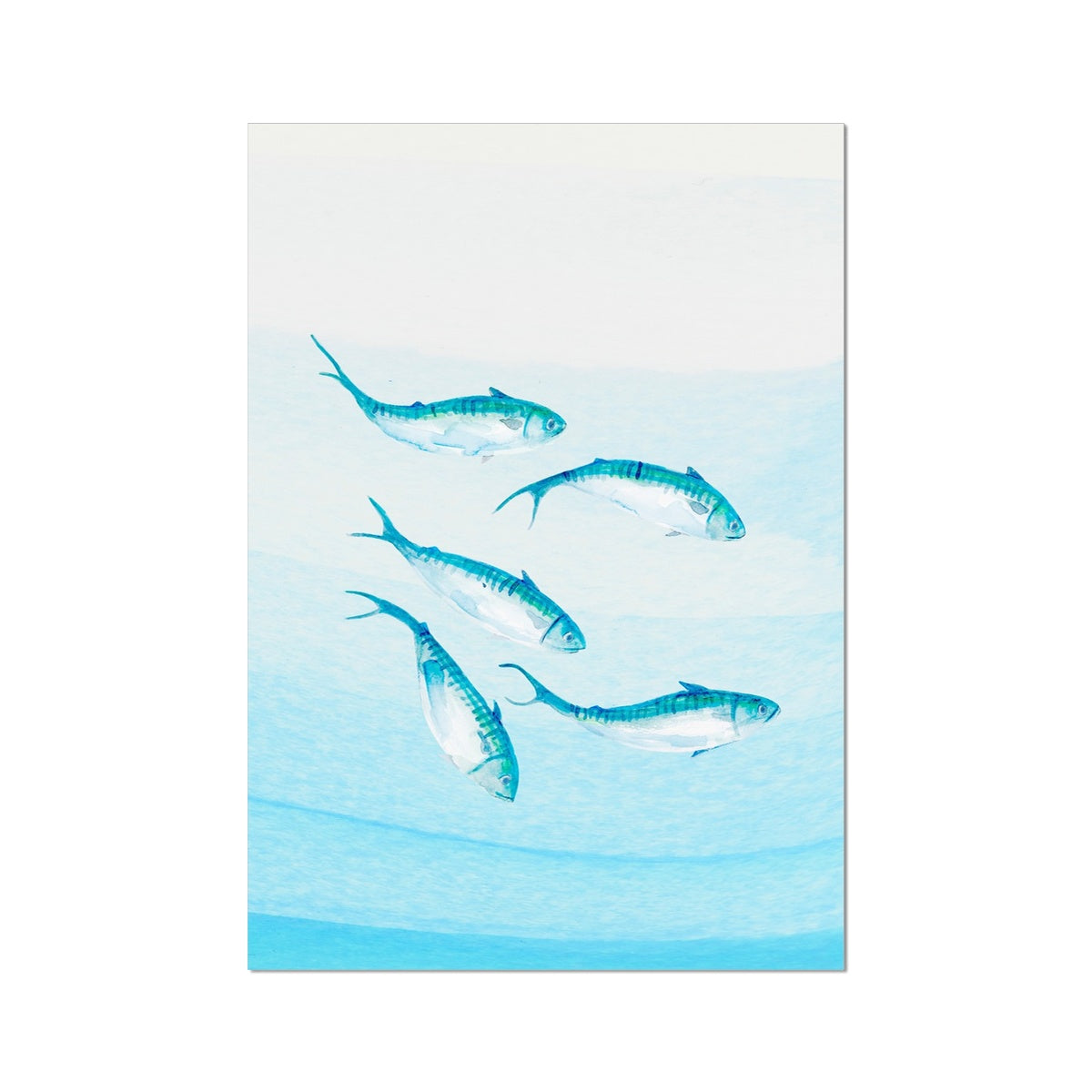 Mackerel Shoal 3 | Fish Wall Art Print - Unframed