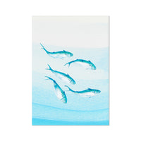 Mackerel Shoal 3 | Fish Wall Art Print - Unframed