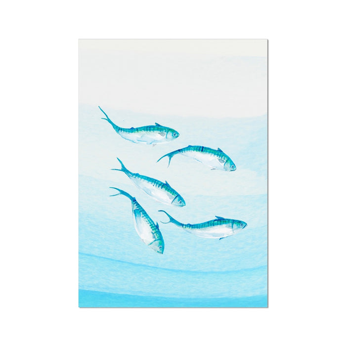 Mackerel Shoal 3 | Fish Wall Art Print - Unframed