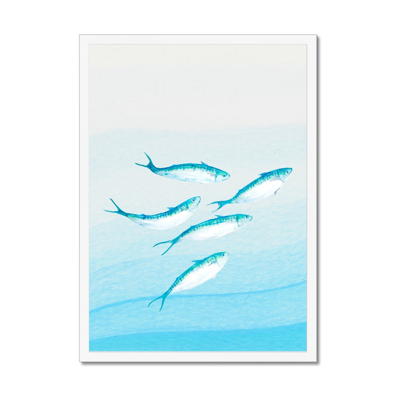 Mackerel Shoal 1 | Fish Wall Art Print - Framed