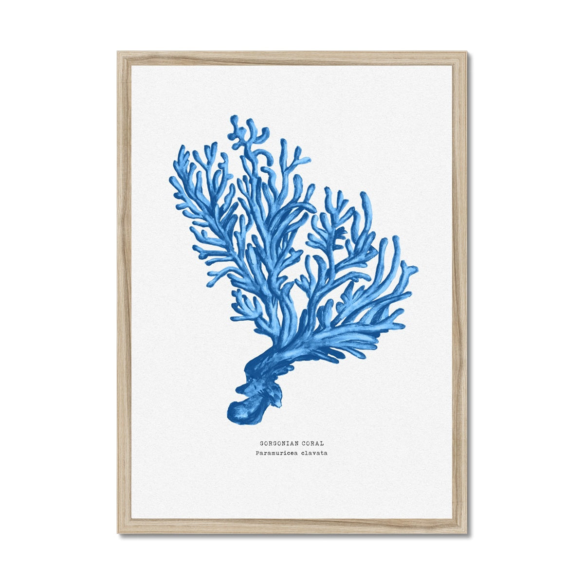 Coral Print | Marine Blue Coral Paintng No 5 - Framed