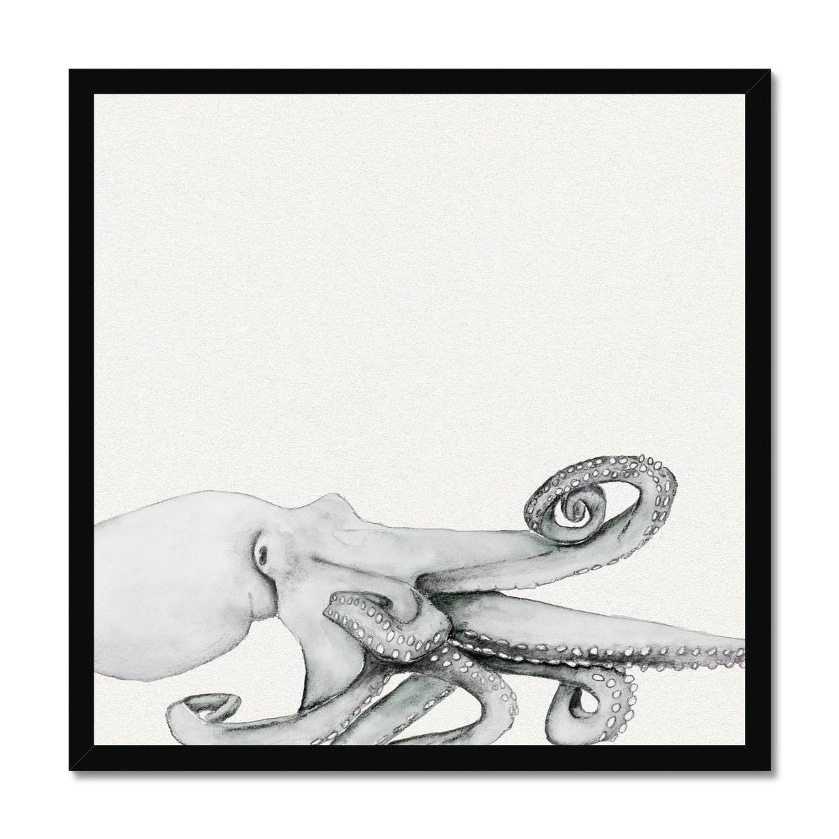 Ink Wash Octopus Art Print | Square Format - Framed