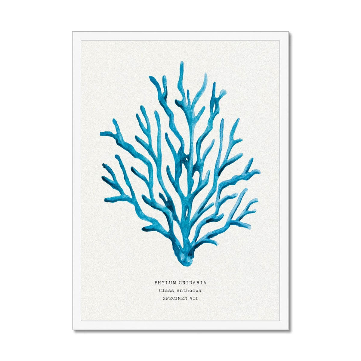 Coral Wall Art | Sea Blue Art Print | Specimen 7 - Framed Beach House Art