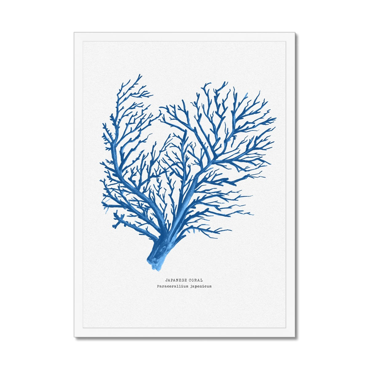 Coral Print | Marine Blue Coral Painting No 1 - Framed