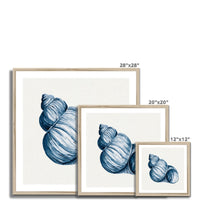 Indigo Watercolour Shell Painting | Shell Art Print - Framed Wall Art