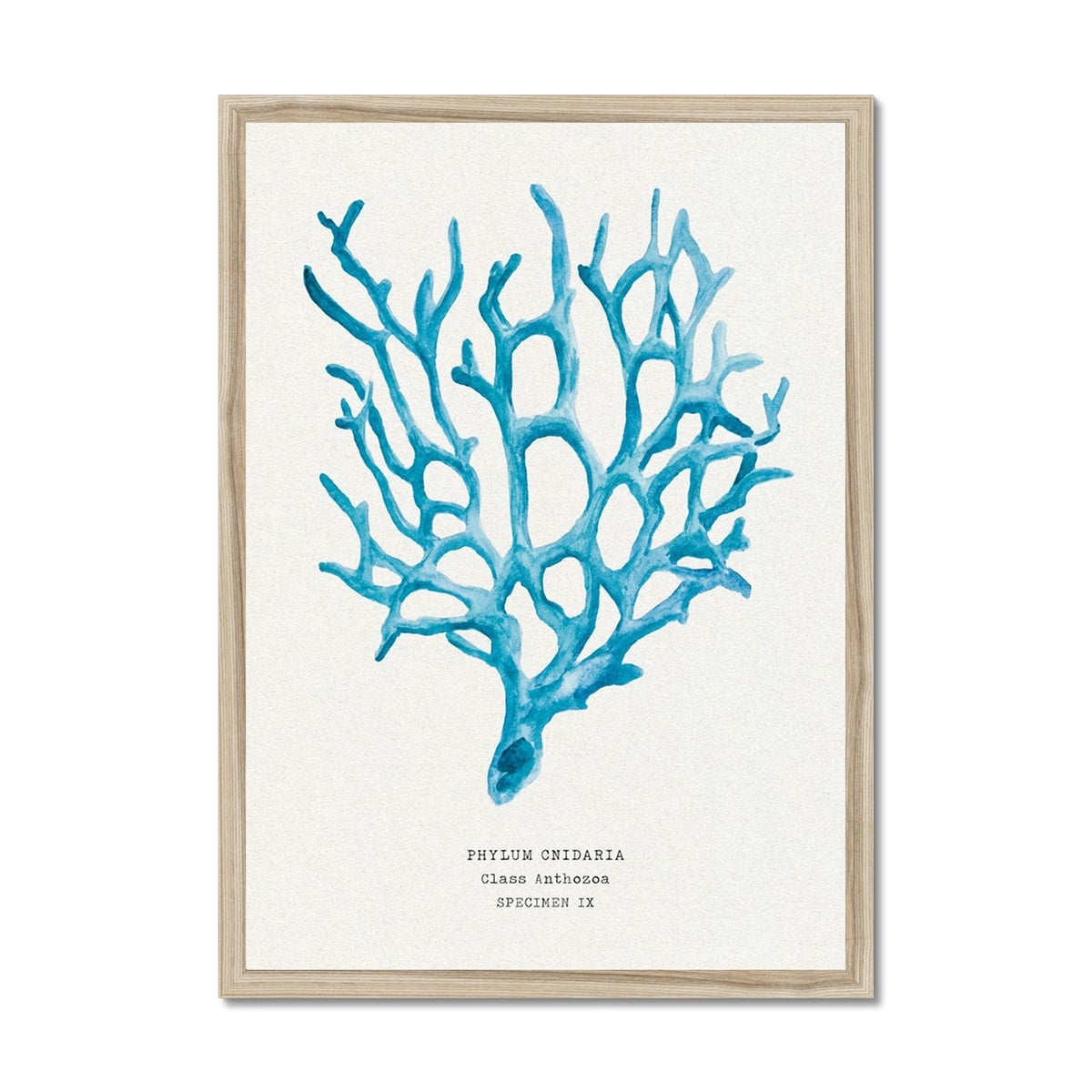 Coral Wall Art | Sea Blue Art Print | Specimen 9 - Framed Beach House Art