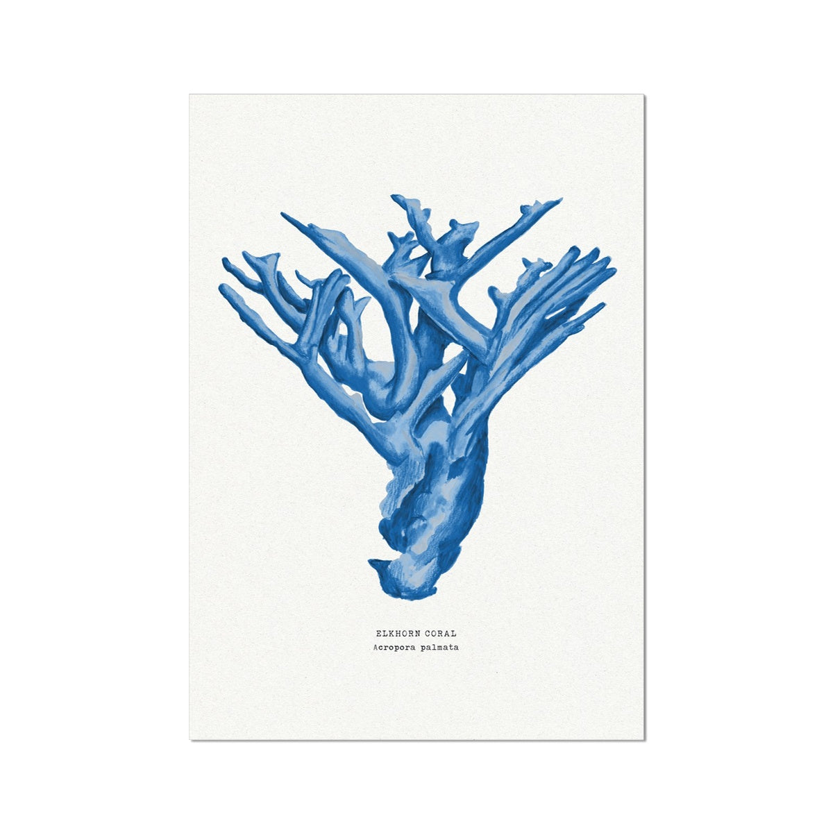 Coral Print | Marine Blue Coral Painting No 4 - Unframed