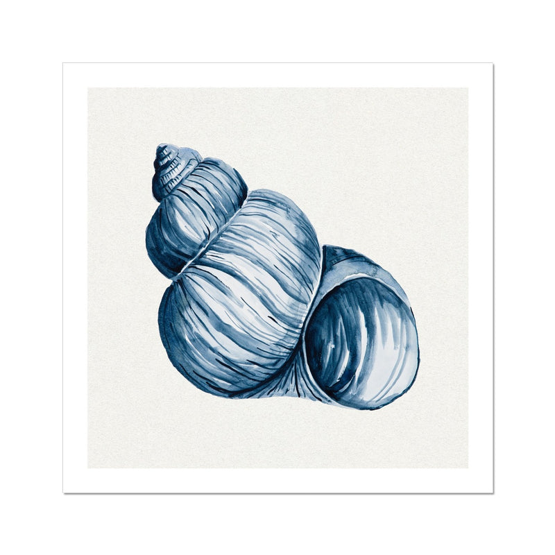 Indigo Watercolour Shell Painting | Shell Art Print - Unframed Wall Art