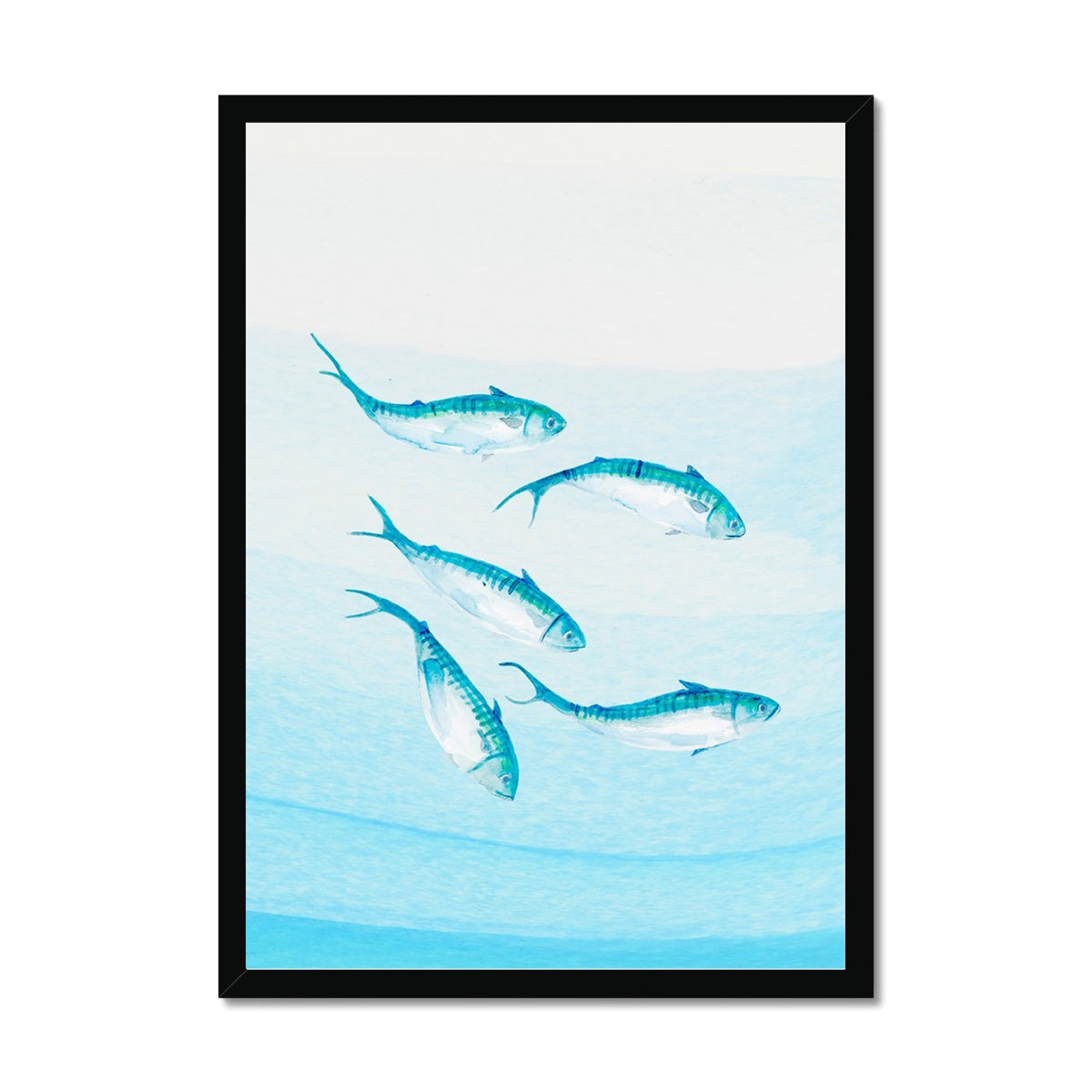 Mackerel Shoal 3 | Fish Wall Art Print - Framed