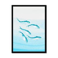 Mackerel Shoal 3 | Fish Wall Art Print - Framed