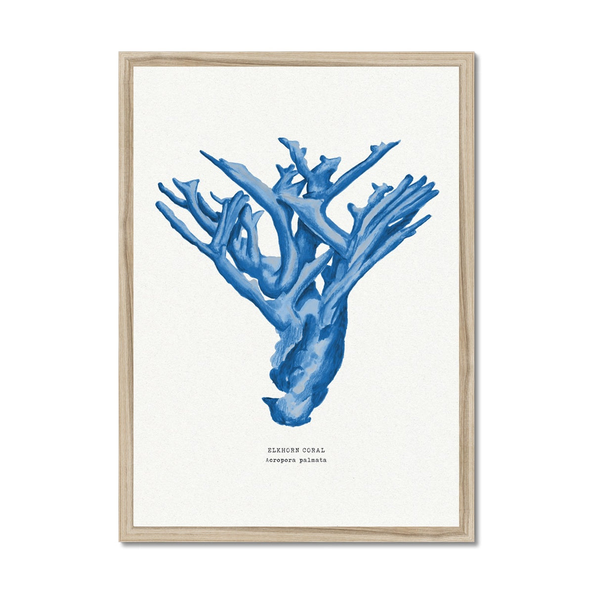 Coral Print | Marine Blue Coral Painting No 4 - Framed