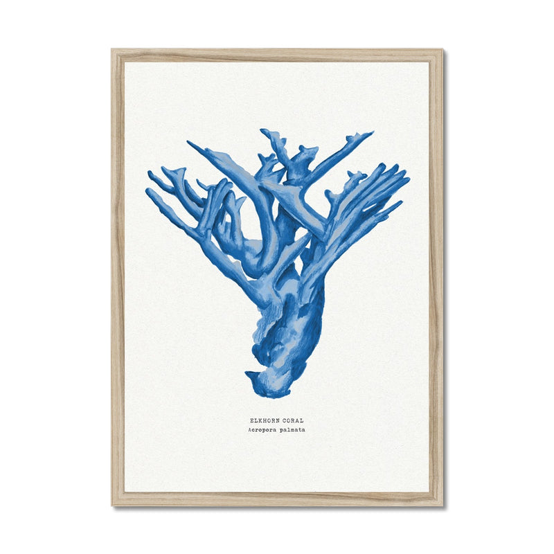 Coral Print | Marine Blue Coral Painting No 4 - Framed