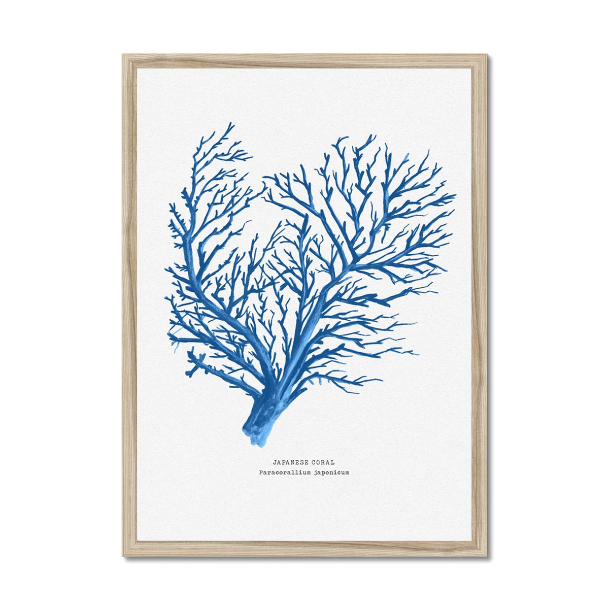 Coral Print | Marine Blue Coral Painting No 1 - Framed