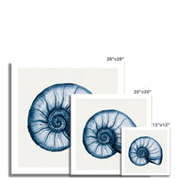 Indigo Shell Painting | Watercolour Nautilus Shell Print | Shell Art - Unframed Art Print