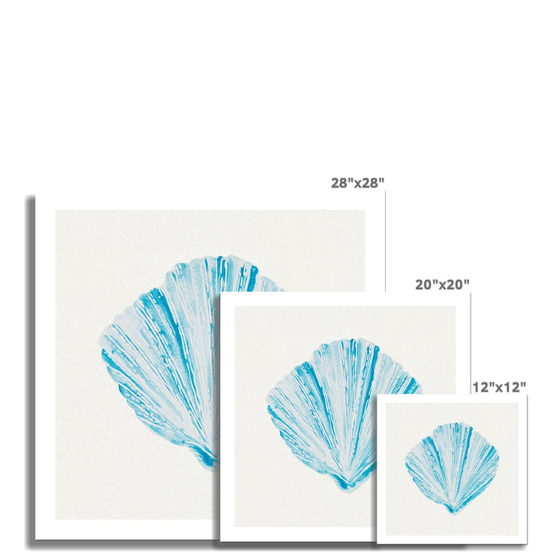 Aqua Watercolour Fan Shell Painting | Shell Print Wall Art - Unframed Wall Art