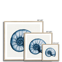 Indigo Watercolour Nautilus Shell Painting | Shell Art - Framed Wall Art