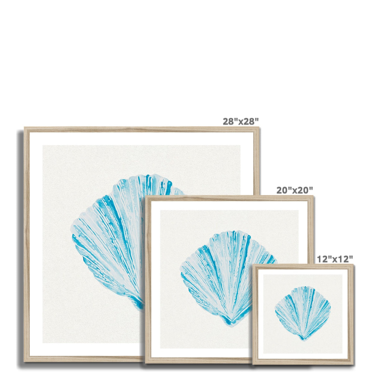 Aqua Watercolour Fan Shell Painting | Shell Print Wall Art - Framed Wall Art