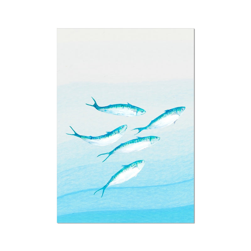 Mackerel Shoal 1 | Fish Wall Art Print - Unframed