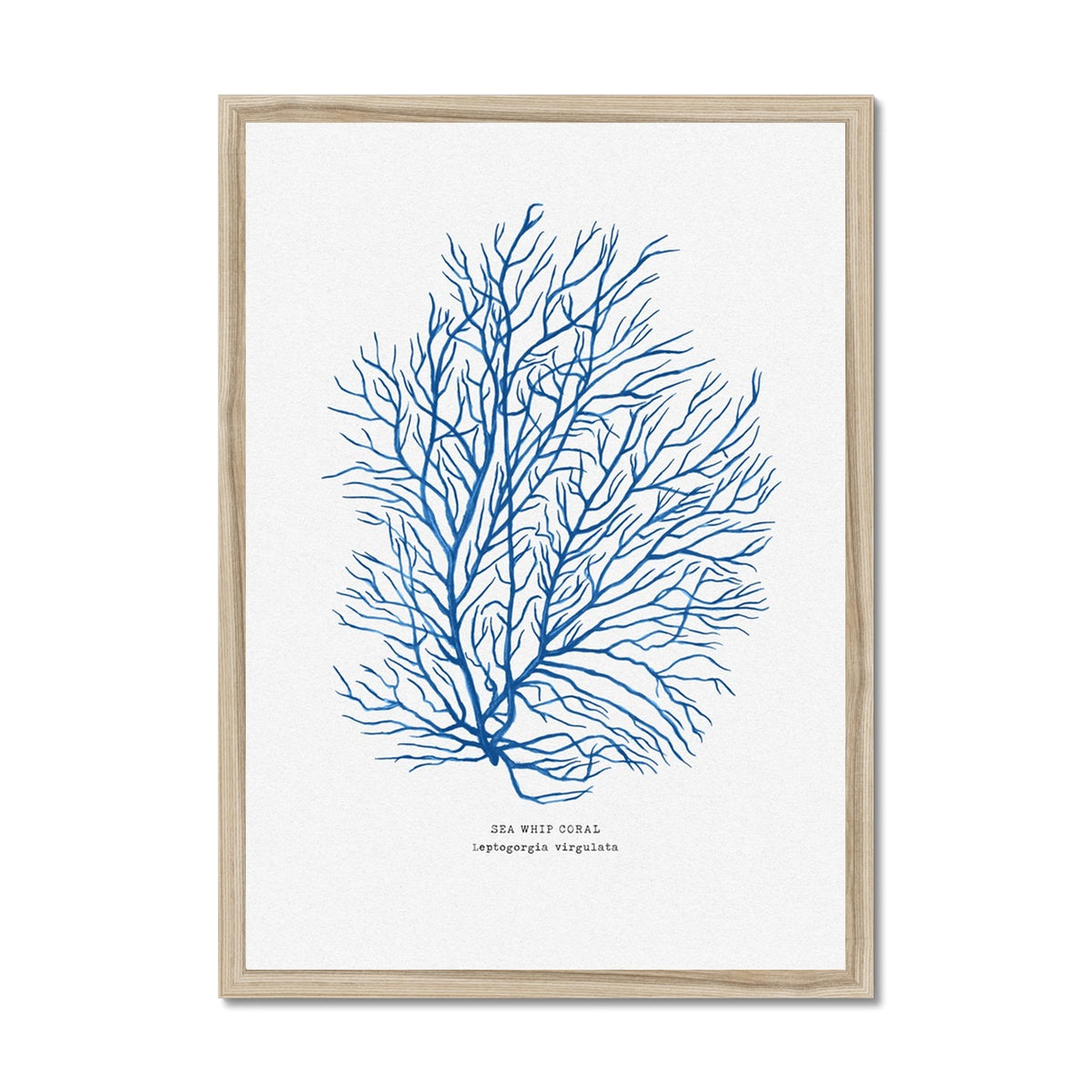 Coral Print | Marine Blue Coral Painting No 3 - Framed