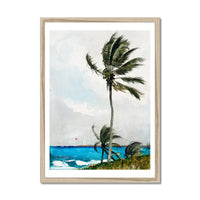 Palm Tree Painting | Vintage Watercolour Beach Wall Art Print - Framed Art Print