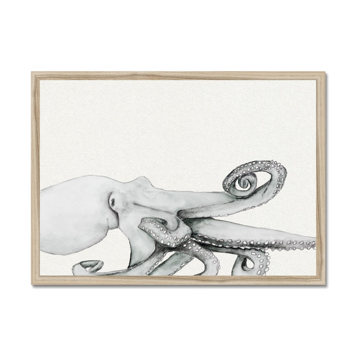 Ink Wash Octopus Art Print | Octopus Painting | Landscape Format - Framed