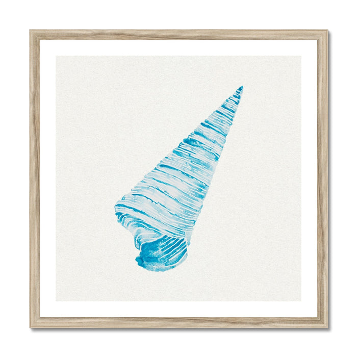 Aqua Watercolour Cone Shell Painting | Shell Print Wall Art - Framed Wall Art